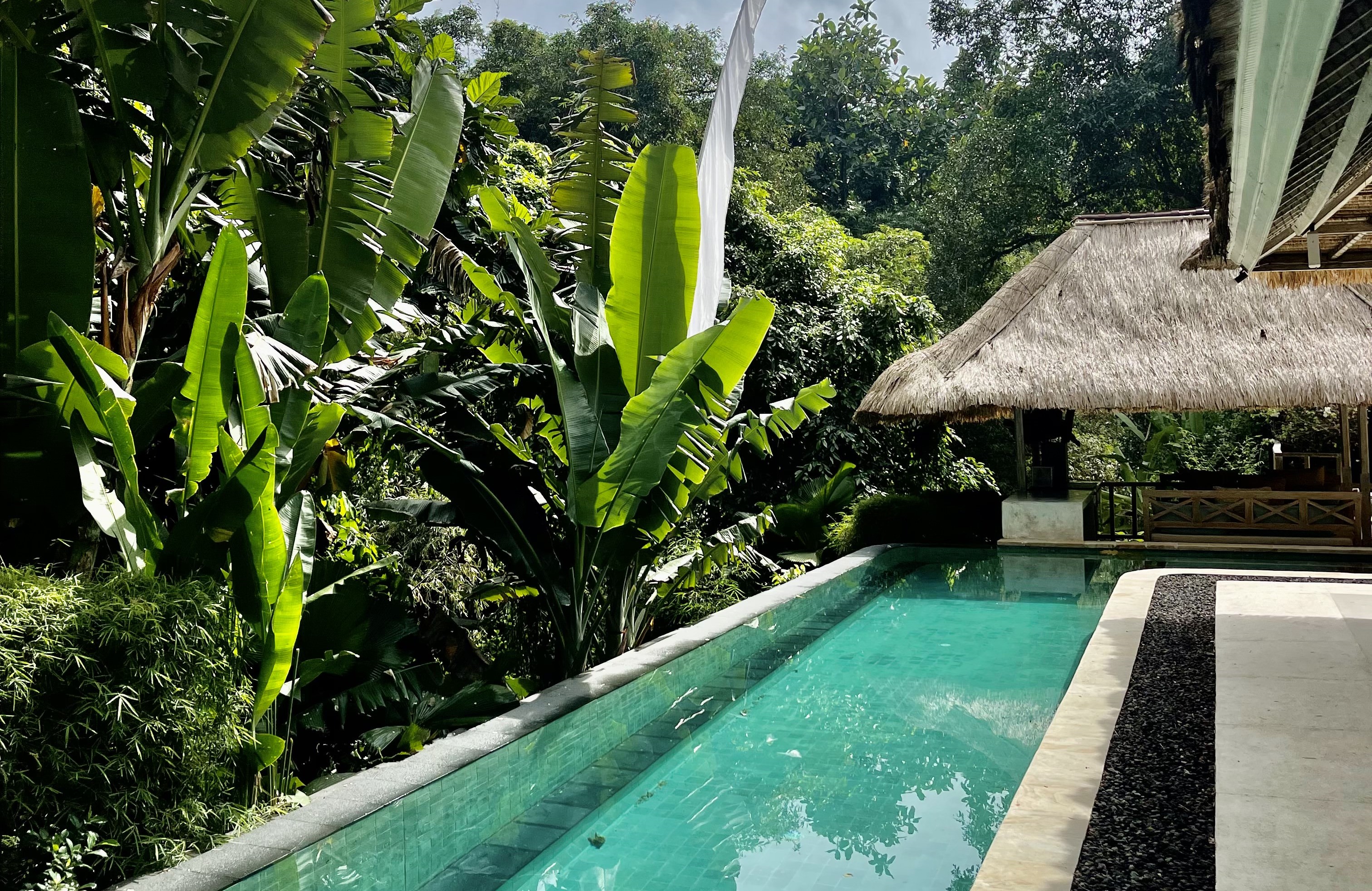 Bali door TripAdvisor uitgeroepen tot nummer 2 van meest populaire toeristische bestemmingen: een gouden kans voor investeerders om duurzaam toerisme te ondersteunen